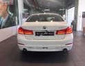 BMW 5 Series 530i 2019 - Cần bán xe BMW 5 Series 530i đời 2019, màu trắng, nhập khẩu nguyên chiếc