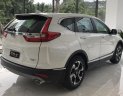 Honda CR V 1.5 LE Turbo 2019 - Bán Honda CRV 1.5 LE Turbo full option nhập Thái Lan, màu đỏ, giao xe nhanh gọn. Hỗ trợ trả góp 80% TP. HCM