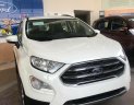 Ford EcoSport Titanium 1.5L 2019 - Bán Ford EcoSport Titanium 1.5L đời 2019, màu trắng, giá sốc cuối năm