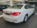 BMW 5 Series 520i 2018 - Bán BMW 520i All New G30, nhập khẩu, màu trắng, nội thất beige, xe có thể giao ngay với đầy đủ hồ sơ