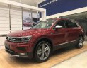 Volkswagen Tiguan 2019 - Bán Tiguan 2.0 Turbo, xe Đức, trả trước 500 triệu, bao Bank 85%, bao hồ sơ khó, xe bao ngon, tặng phụ kiện