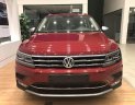 Volkswagen Tiguan 2019 - Bán Tiguan 2.0 Turbo, xe Đức, trả trước 500 triệu, bao Bank 85%, bao hồ sơ khó, xe bao ngon, tặng phụ kiện