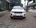 LandRover Discovery Sport HSE Luxury 2015 - Bán LandRover Discovery Sport HSE Luxury năm sản xuất 2015, màu trắng, xe nhập