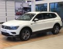 Volkswagen Tiguan 2018 - Xe Đức Tiguan 2.0 Turbo model 2019, trả trước 500 triệu, bao bank 85%, bao hồ sơ khó, xe bao ngon, tặng phụ kiện