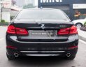 BMW 5 Series 530i 2019 - Bán BMW 530i đời 2019, màu đen, nhập khẩu nguyên chiếc