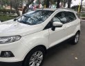 Ford EcoSport 2014 - Bán xe Ford EcoSport sản xuất năm 2014, màu trắng xe gia đình