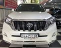 Toyota Land Cruiser 2016 - Cần bán gấp Toyota Land Cruiser đời 2016, màu trắng, xe nhập xe gia đình