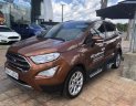 Ford EcoSport Titanium 2018 - Cần bán xe Ford EcoSport Titanium năm 2018, màu nâu như mới