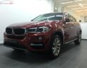 BMW X6 xDrive 35i 2019 - Bán xe BMW X6 xDrive 35i sản xuất 2019, màu đỏ, xe nhập