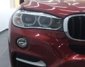 BMW X6 xDrive 35i 2019 - Bán xe BMW X6 xDrive 35i sản xuất 2019, màu đỏ, xe nhập