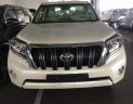 Toyota Land Cruiser  Prado VX  2019 - Bán xe Toyota Land Cruiser Prado VX năm sản xuất 2019, màu trắng, nhập khẩu nguyên chiếc