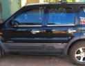 Ford Escape  MT 2003 - Bán Ford Escape MT năm sản xuất 2003, đã lên đủ đồ chơi