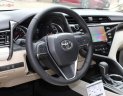 Toyota Camry XLE 2.5 AT 2019 - Bán Toyota Camry XLE 2.5 AT đời 2019, màu trắng, nhập khẩu