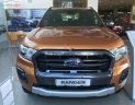 Ford Ranger Wildtrak 2.0L 4x4 AT 2019 - Bán ô tô Ford Ranger Wildtrak 2.0L 4x4 AT sản xuất 2019, màu nâu, xe nhập