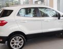 Ford EcoSport Titanium 2019 - Ford EcoSport Titanium, mới 100%, đủ màu, KM phụ kiện chính hãng, dịch vụ sau bán hàng hấp dẫn