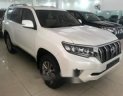 Toyota Land Cruiser 2018 - Cần bán lại xe Toyota Land Cruiser sản xuất 2018, màu trắng, giá tốt