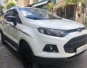 Ford EcoSport Titanium 2017 - Cần bán lại xe Ford EcoSport Titanium đời 2017, màu trắng ít sử dụng, 565tr