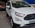 Ford EcoSport Titanium 2019 - Ford EcoSport Titanium, mới 100%, đủ màu, KM phụ kiện chính hãng, dịch vụ sau bán hàng hấp dẫn