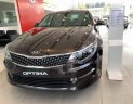 Kia Optima   2017 - Bán Kia Optima sản xuất năm 2017