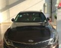 Kia Optima  GAT 2017 - Cần bán Kia Optima GAT năm 2017, màu nâu, giá chỉ 789 triệu