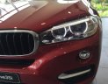 BMW X6 2018 - Bán xe BMW X6 sản xuất 2018