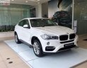 BMW X6 xDrive35i 2018 - BMW Phú Mỹ Hưng bán BMW X6 xDrive35i sản xuất 2018, xe mới 100%