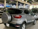 Ford EcoSport AT 2015 - Bán Ford EcoSport sản xuất năm 2015, màu bạc, xe chính chủ