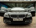 BMW 5 Series 528i 2015 - Bán xe BMW 5 Series 528i sản xuất năm 2015 đời 2016, nhập khẩu nguyên chiếc