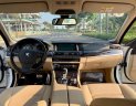 BMW 5 Series 520i 2015 - Cần bán xe BMW 5 Series 520i đời 2015, màu trắng, nhập khẩu