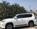 Lexus GX   AT  2016 - Cần bán lại xe Lexus GX AT năm 2016, màu trắng