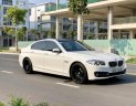 BMW 5 Series 520i 2015 - Cần bán xe BMW 5 Series 520i đời 2015, màu trắng, nhập khẩu