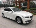 BMW 5 Series 520 2015 - Bán BMW 5 Series 520 đời 2015, màu trắng, xe nhập như mới