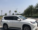 Lexus GX   AT  2016 - Cần bán lại xe Lexus GX AT năm 2016, màu trắng