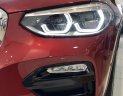 BMW X4 xDrive20i 2018 - Bán BMW X4 mới - chưa đăng ký