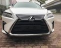 Lexus RX 350 L 2019 - Bán Lexus RX350 L 2019 bản 6 chỗ, xuất Mỹ