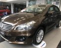 Suzuki Ciaz 2019 - Bán xe Suzuki Ciaz năm sản xuất 2019, màu nâu, nhập khẩu, 455tr