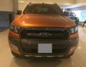 Ford Ranger 3.2L Wildtrak 4x4 AT 2016 - Bán xe Ford Ranger 3.2L Wildtrak 4x4 AT sản xuất 2016, màu nâu cam, nhập khẩu nguyên chiếc, giá chỉ 785 triệu