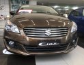 Suzuki Ciaz 2019 - Bán xe Suzuki Ciaz năm sản xuất 2019, màu nâu, nhập khẩu, 455tr