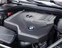 BMW 5 Series 530i 2019 - Bán BMW 530i All New G30, màu đen, nội thất đen, nhập khẩu, xe giao ngay với đầy đủ hồ sơ