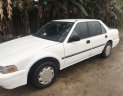 Honda Accord   1989 - Cần bán Honda Accord sản xuất năm 1989, màu trắng, xe nhập, giá tốt