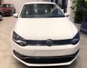 Volkswagen Polo G 2019 - Bán Volkswagen Polo Hacthback 2019 – đủ màu giao ngay- hotline: 0909717983