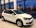 Volkswagen Polo G 2019 - Bán Volkswagen Polo Hacthback 2019 – đủ màu giao ngay- hotline: 0909717983