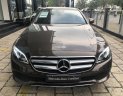 Mercedes-Benz E class E250  2017 - Chuyên Mercedes E250 chưa lăn bánh chính hãng