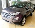 Ford EcoSport 1.0 Ecoboost 2019 - Bán ô tô Ford EcoSport 1.0 Ecoboost, giảm ngay 22 triệu, đời 2019, màu xám, nâu