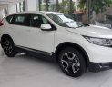 Honda CR V  L 2019 - Cần bán Honda CR V đời 2019, màu trắng, nhập khẩu