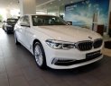 BMW 5 Series 2018 - Bán ô tô BMW 5 Series đời 2019, màu trắng, nhập khẩu nguyên chiếc