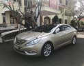 Hyundai Sonata 2.0 AT 2010 - Bán Hyundai Sonata 2.0 AT đời 2010, xe nhập chính chủ, giá chỉ 550 triệu