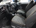 Volkswagen Beetle 2017 - Bán Volkswagen Beetle model 2018 - Xe nhập khẩu - K/Mãi lớn