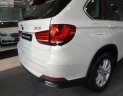 BMW X5 xDrive35i 2019 - Bán BMW X5 xDrive35i sản xuất năm 2019, màu trắng, nhập khẩu  