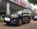 Toyota Land Cruiser 4.6 2011 - Bán Toyota Landcruise VX 4.6 sx 2011, đã lên form 2016, xe 1 chủ từ đầu, chạy ít cực mới